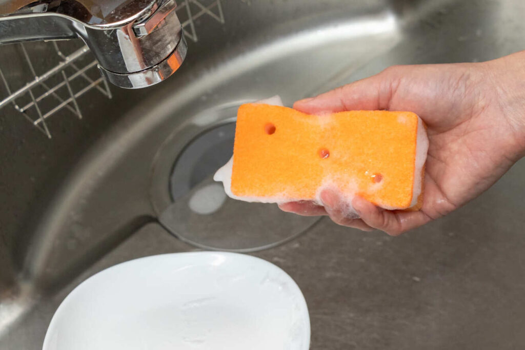 一人暮らしでスポンジを変える頻度を考察