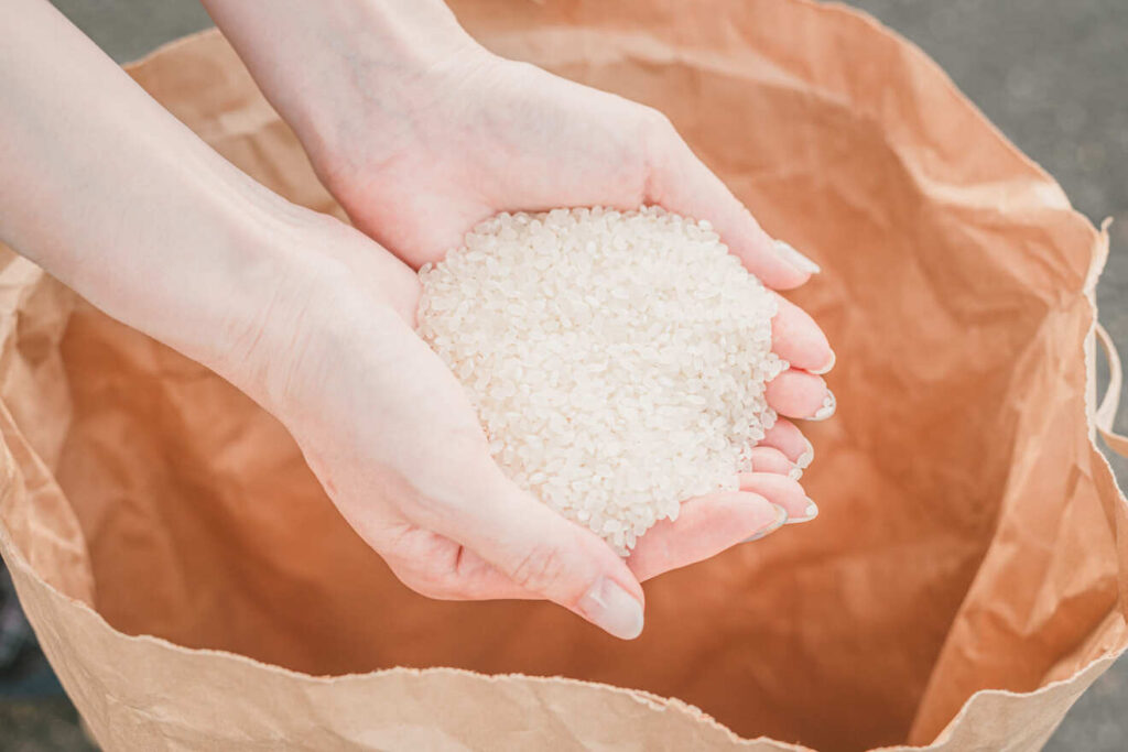 一人暮らしで米びつがいらない人の対処法