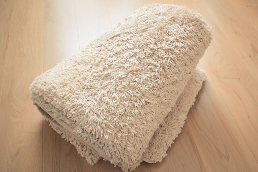 一人暮らしにラグはいらないのか考察